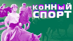 Конный спорт в Раевской. Тренировки и уход за лошадьми. Спортивная и адаптивная верховая езда