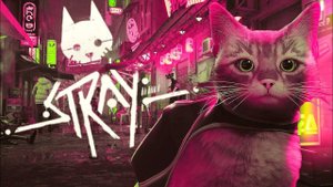 Прохождение Stray."Внутри стен". "Мёртвый город".