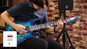 Ibanez GIO ที่ไม้หน้าสวยขนาดนี้ แต่ราคาไม่ถึงหมื่น!!??? | กีต้าร์ไฟฟ้า Ibanez Grg-r211pa