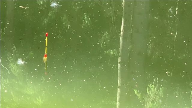 Рыбалка на крючок.Проверочная