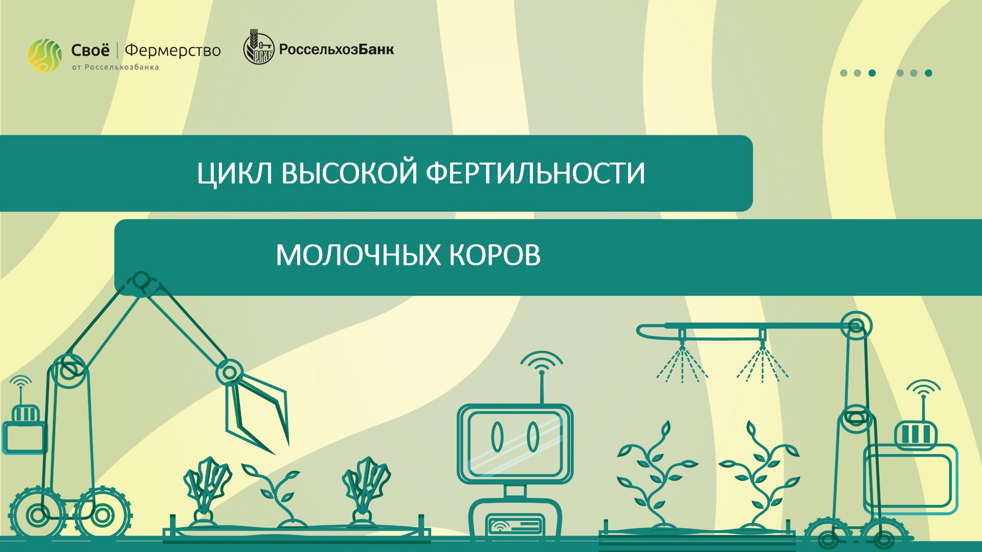 Цикл высокой фертильности молочных коров