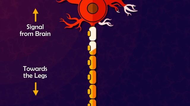 How do insecticides kill cockroaches? смотреть онлайн