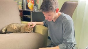 ШОТЛАНДСКИЙ ВИСЛОУХИЙ КОТ МИТЯ ЛЮБУЕТСЯ СНЕГОПАДОМ с ПАПОЙ и НИКИТОЙ
