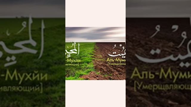 99 имена Аллаха слушайте каждые утром и ночью перед сном душу успокаивает смотреть онлайн