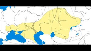 Половцы