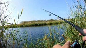 Поиск щуки на малом водоеме. Часть 1. Плюс щучка, минус воблер! Розыгрыш Strike Pro Arc Minnow 90SP