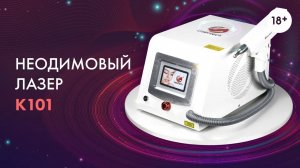 Наносекундный неодимовый лазер K101PRO LASERTECH