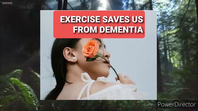 BRAIN RULES | DR.JOHN MEDINA| SUMMARY смотреть онлайн