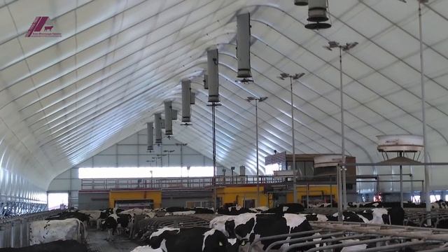 Коровник под ключ. Автоматизация и Реконструкции Коровника | Проект коровника смотреть онлайн
