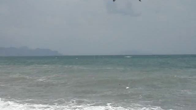 Чайки над волнами.Это мы снимали на Черном море смотреть онлайн