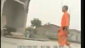 Тао и набивка База прыжков ушу
