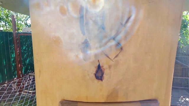 Колода для пчел"СЛЕД МЕДВЕДЯ" обзор #MihailShip #изготовленияколоды #всенюансыоколоде #мёд #пасека смотреть онлайн