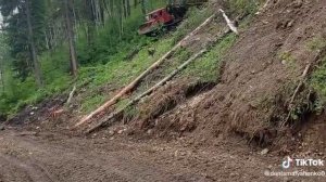 Работа в лесу.