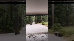 Экскурсия по Лесному кладбищу в Стокгольме (из инстаграма) - прогулка в прямом эфире. Ира Стомберг