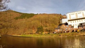 Ручьевая Форель