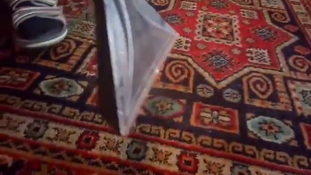 Распыление чистящих средств на ковер. Химчистка ковров. Тюмень. смотреть онлайн