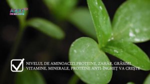 Cropaid NPA - Самое безопасное и оптимальное решение для вашего сада!