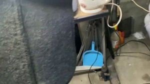 Что стало с коврами BORATEX за 2.5 года