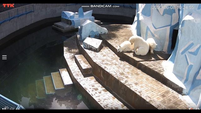 После завтрака нужно отдохнуть 08.06.2020 смотреть онлайн