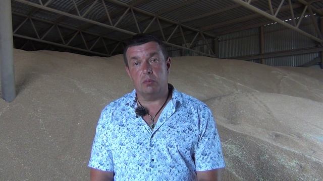 Из первых уст о зерноочистке Вибромакс VibroMax (Чехия) от крупного Самарского фермерского хозяйства смотреть онлайн