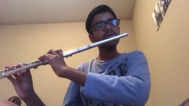 Senorita Flute Cover смотреть онлайн