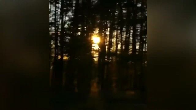 ДЕНЬ МАТЕРИ ( ПОСВЯЩЯЕТЬСЯ МАМАМ) #деньматери #мама #мать #бабушка #цветы #розы #2021