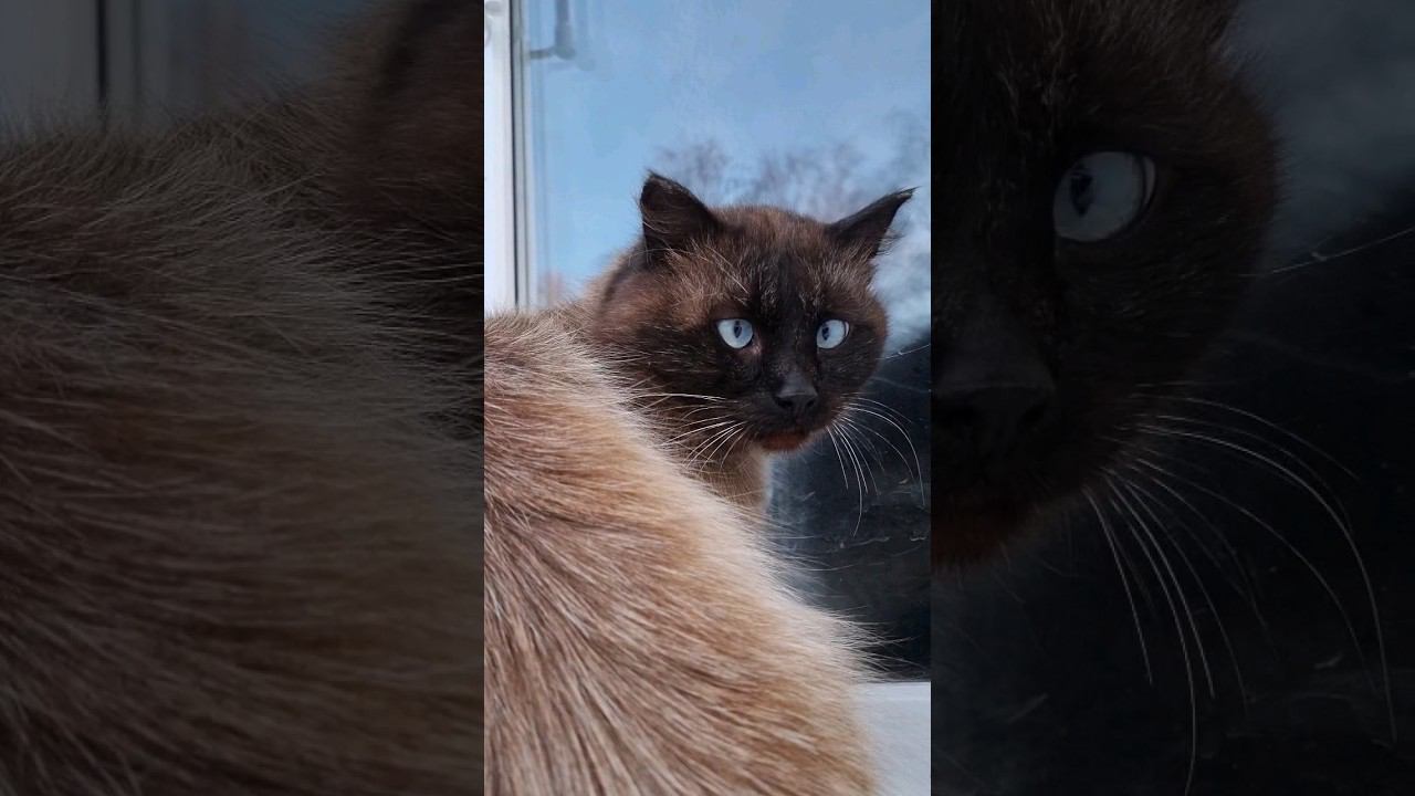 28 января 2024 г. смотреть онлайн