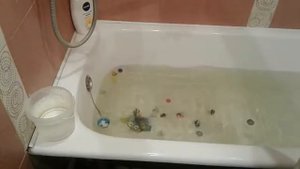 Попрыгунчики! ! ! ! ! !