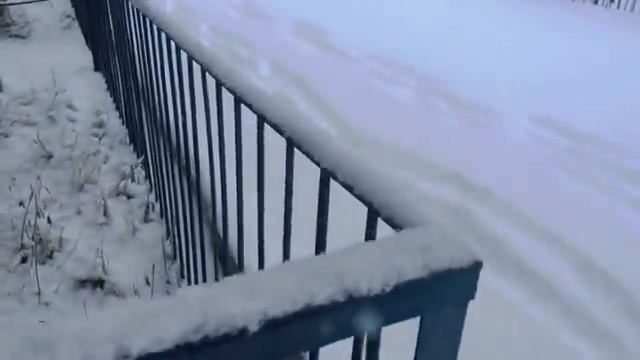 Читая Олега Зубкова! Как я решил разрешить КОРМИТЬ ЖИВОТНЫХ! смотреть онлайн