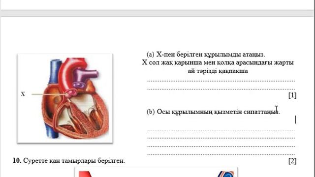 8 сынып Биология 2-тоқсан ТЖБ талдаулары
