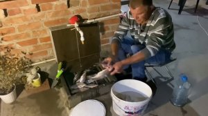 Как посолить рыбу ? Простой и вкусный рецепт!