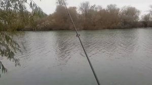 Как связать отводной поводок.Дроп шот.Незацепляйка на хищника