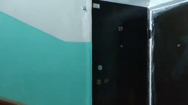 КОСМЕТИЧЕСКИЙ РЕМОНТ ПОДЪЕЗДА ул. Крисанова, 69 смотреть онлайн