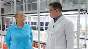 Фитоспорин. Топ 10 вопросов аграриев