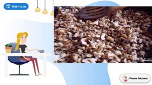 Салат с говядиной огурцом и яйцом. В домашних условиях классический рецепт