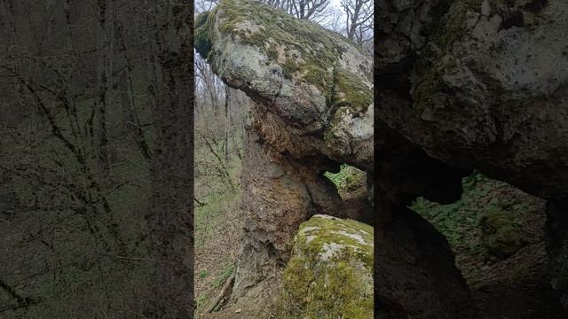 поход к каменным грибам в Абинском районе. апрель 2023. #грибы #горы #поход смотреть онлайн