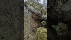 поход к каменным грибам в Абинском районе. апрель 2023. #грибы #горы #поход