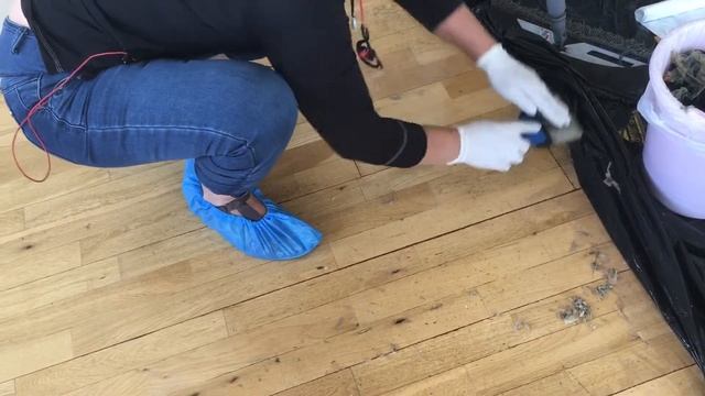 Мастер класс по снятию лака с паркета, ламината без шума и пыли от А до Я??