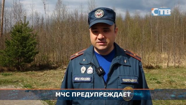 26.04.2023 Как предотвратить лесные пожары. смотреть онлайн