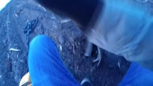 Поиск металлолома GARRETT ACE 250