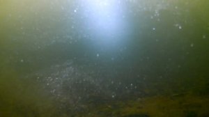 Что скрывает старый пруд под водой.. Фото-рыбалка на пруду в поле,ушёл с небольшим уловом