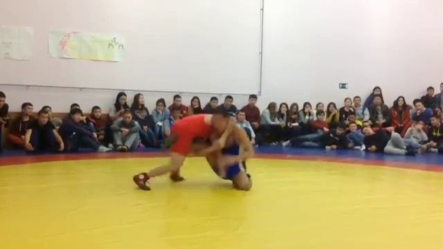 Турнир по вольной борьбе посвященный 15 летию Томского Тувинского землячества смотреть онлайн