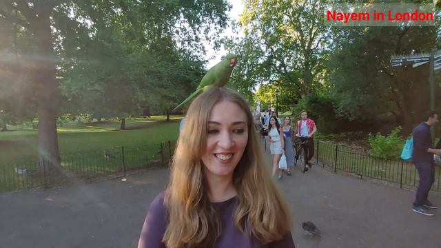 They kept landing on her head | Birds corner St James's Park London | Parrots fight for peanuts
