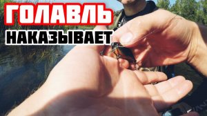 ГОЛАВЛЬ наказывает! Рыбалка на ГОЛАВЛЯ летом!