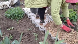 делаем дорожки в цветнике .бюджетно