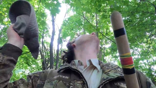 Где гнездится соловей? На земле, в кустах или на дереве? смотреть онлайн