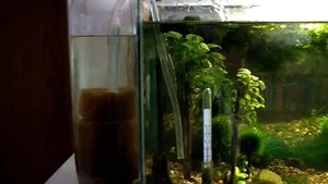 #Aquarium. Внешний фильтр для нано аквариума.