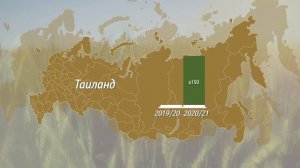 ФГБУ «Центр оценки качества зерна» подготовило информацию об экспорте зерна