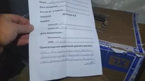 На ПМЖ в Смоленск