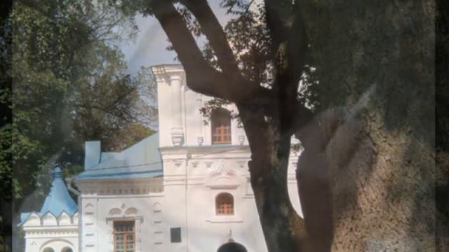 Норов Александр Александрович. Летающее дерево смотреть онлайн